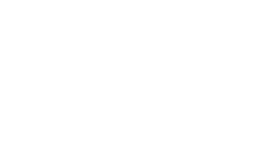 Bud Light